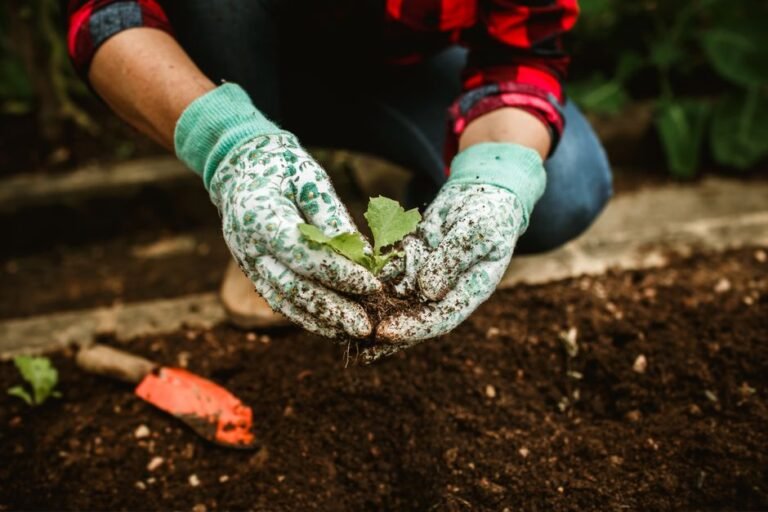 gardener hands soil