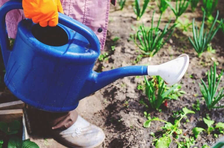 watering can garden