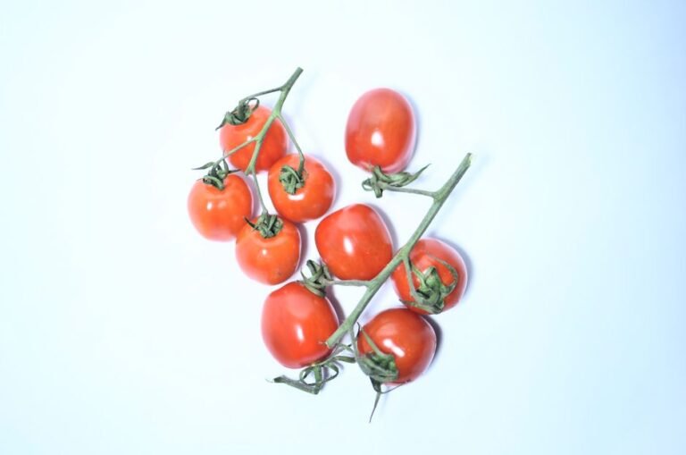 ripe tomatoes vine