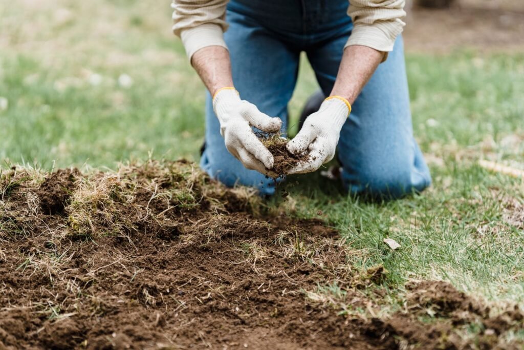 Bulbs, Plant Sales and a Wallet in the Flower Bed: What I Carry on Autumn Garden Weekends